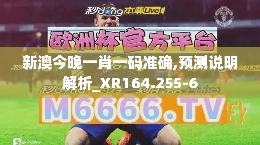 新澳今晚一肖一码准确,预测说明解析_XR164.255-6