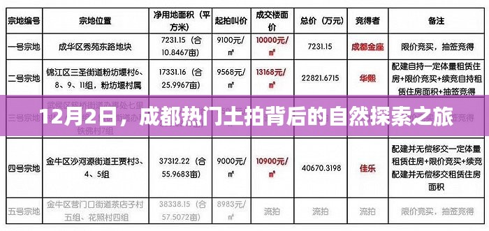 凤凰于飞 第5页