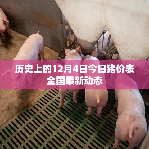 全国最新动态,历史上的今日猪价表(12月4日更新)