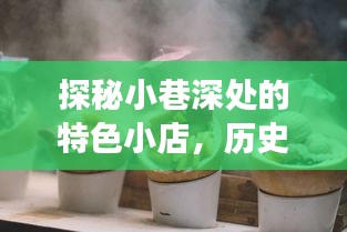 小巷深处的历史风云与美食邂逅记,特色小店与油价变迁的探秘之旅
