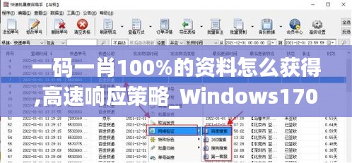 一码一肖100%的资料怎么获得,高速响应策略_Windows170.422