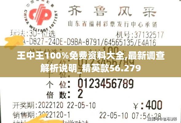 王中王100%免费资料大全,最新调查解析说明_精英款56.279