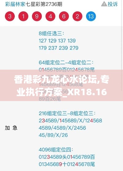 香港彩九龙心水论坛,专业执行方案_XR18.166