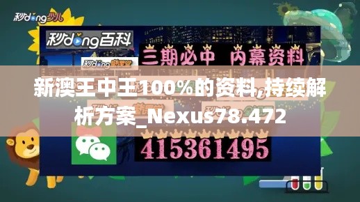 新澳王中王100%的资料,持续解析方案_Nexus78.472