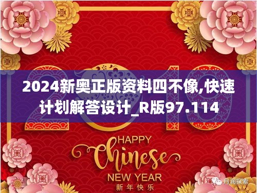 2024新奥正版资料四不像,快速计划解答设计_R版97.114