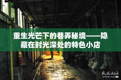 重生光芒下的巷弄秘境,时光深处的独特小店探索