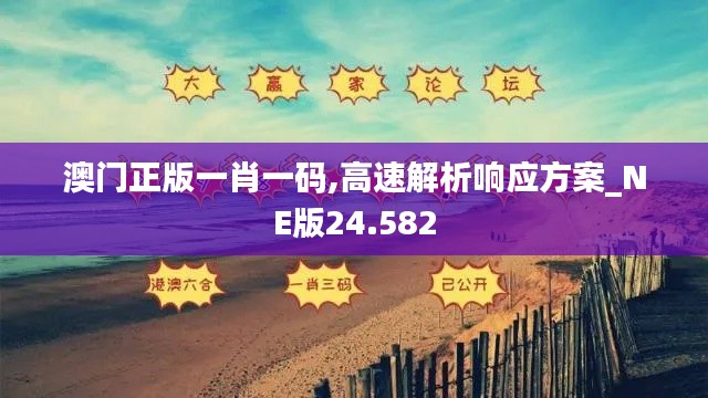 澳门正版一肖一码,高速解析响应方案_NE版24.582