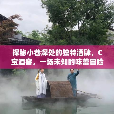 探秘小巷深处的C宝酒窖,一场味蕾冒险之旅