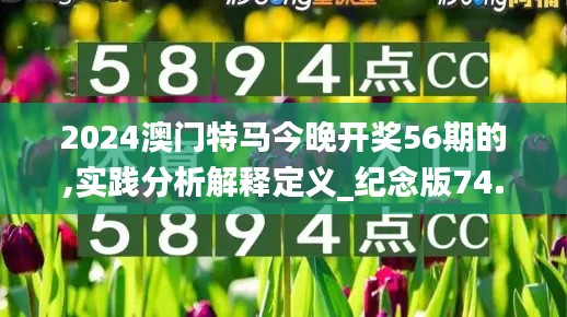 2024澳门特马今晚开奖56期的,实践分析解释定义_纪念版74.732