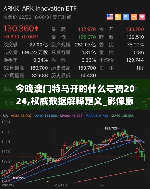 今晚澳门特马开的什么号码2024,权威数据解释定义_影像版47.343