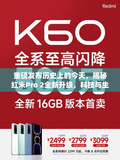 贵耳贱目 第4页