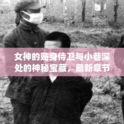 女神侍卫与神秘宝藏,最新章节背后的传奇故事