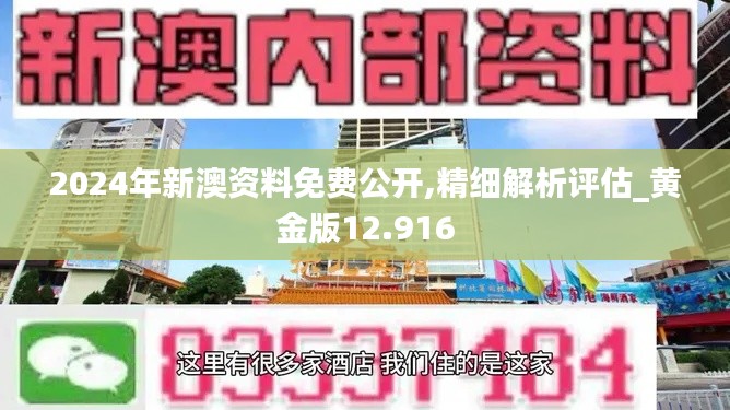 2024年新澳资料免费公开,精细解析评估_黄金版12.916