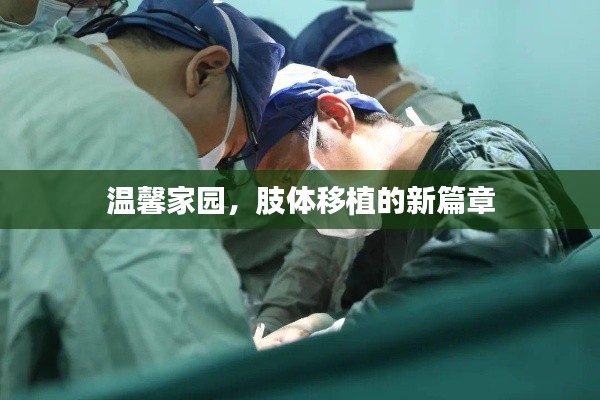 温馨家园,肢体移植技术的崭新篇章