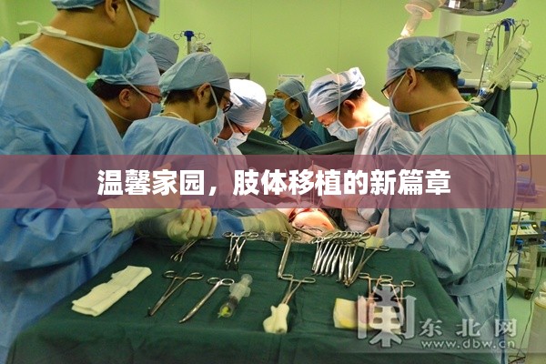 温馨家园,肢体移植技术的崭新篇章