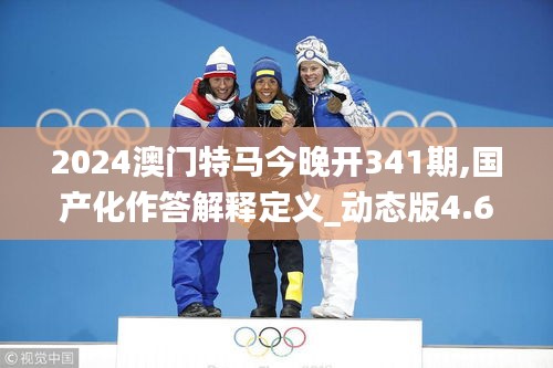 2024澳门特马今晚开341期,国产化作答解释定义_动态版4.692