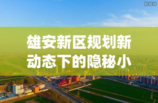 雄安新区规划新动态下的隐秘小巷美食探秘之旅