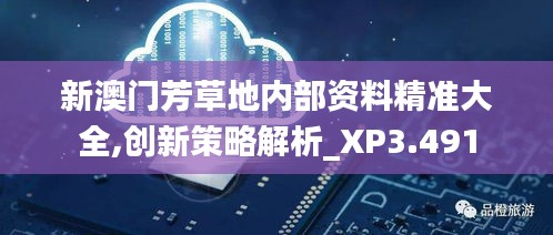 新澳门芳草地内部资料精准大全,创新策略解析_XP3.491