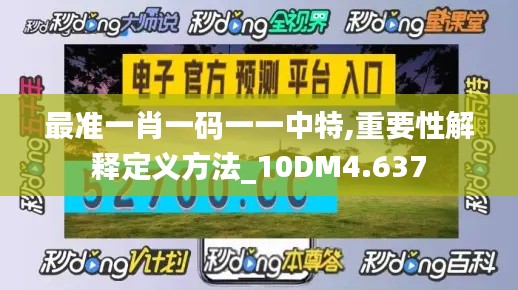 最准一肖一码一一中特,重要性解释定义方法_10DM4.637