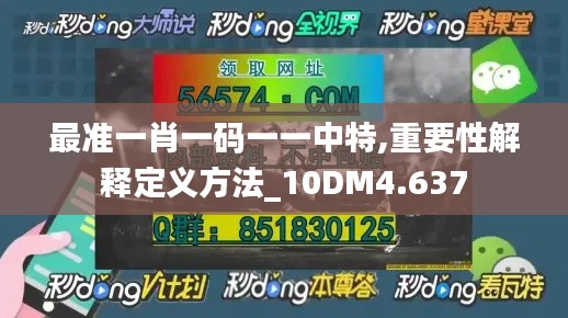 最准一肖一码一一中特,重要性解释定义方法_10DM4.637