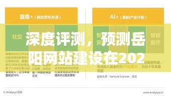深度评测,展望岳阳网站建设在2024年未来面貌的崭新蜕变