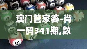 澳门管家婆-肖一码341期,数据支持方案解析_S5.549
