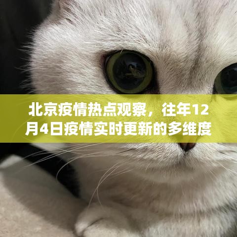 北京疫情热点观察,多维度分析历年12月4日疫情实时更新情况
