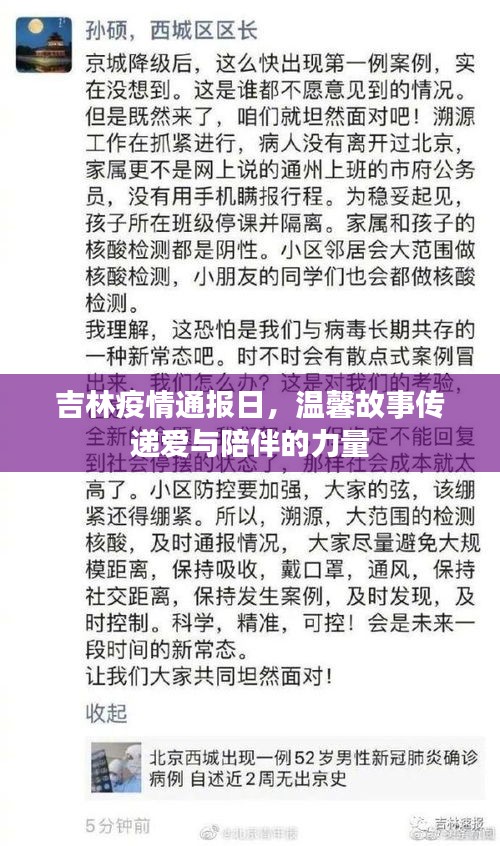 衣不重采 第4页