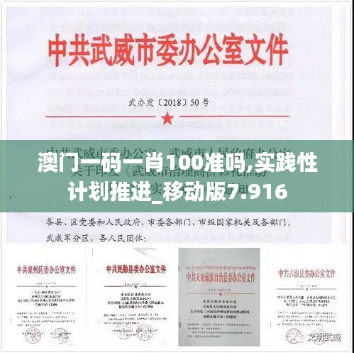 澳门一码一肖100准吗,实践性计划推进_移动版7.916