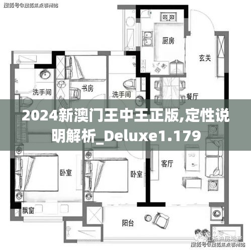 2024新澳门王中王正版,定性说明解析_Deluxe1.179