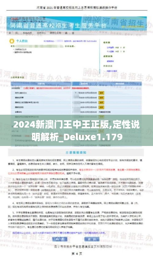 2024新澳门王中王正版,定性说明解析_Deluxe1.179