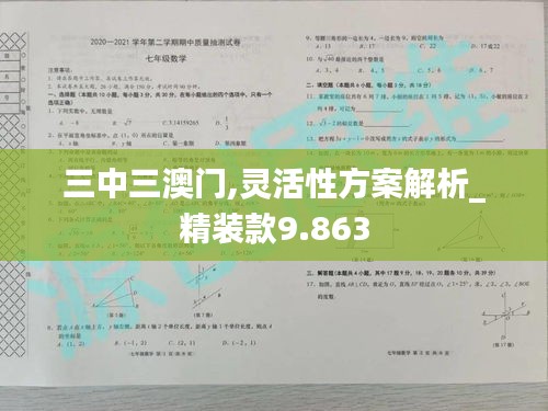 三中三澳门,灵活性方案解析_精装款9.863