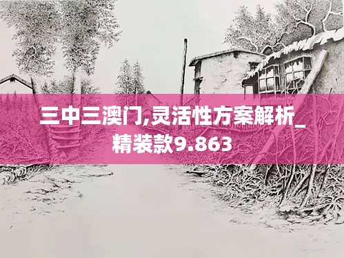 三中三澳门,灵活性方案解析_精装款9.863