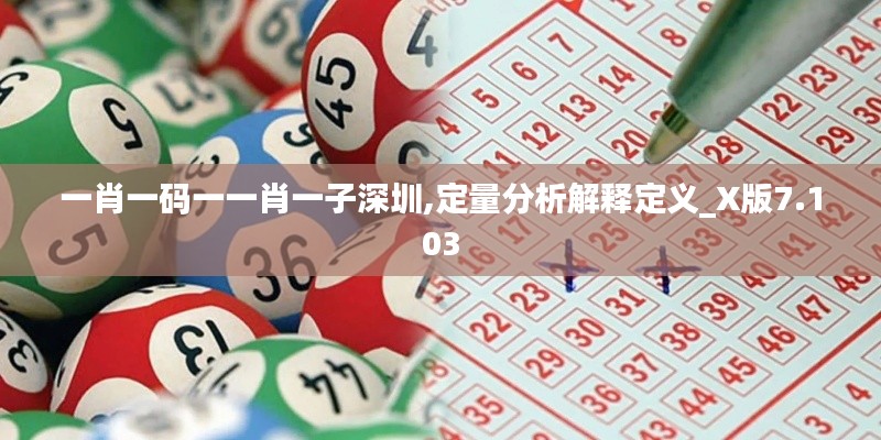 一肖一码一一肖一子深圳,定量分析解释定义_X版7.103