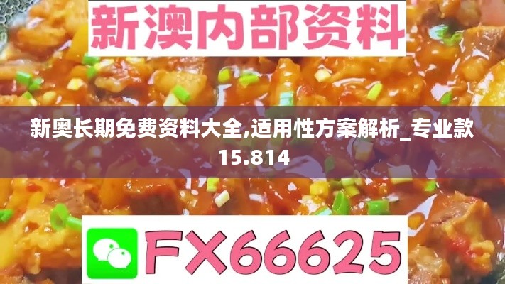 新奥长期免费资料大全,适用性方案解析_专业款15.814