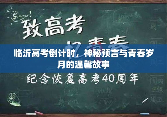 临沂高考倒计时,神秘预言下的青春岁月温馨故事
