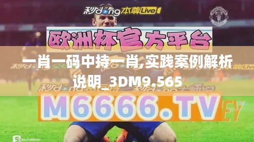 一肖一码中持一肖,实践案例解析说明_3DM9.565