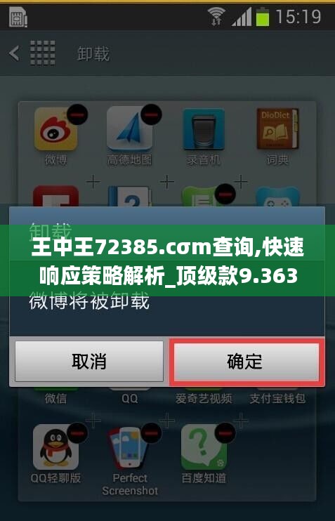 王中王72385.cσm查询,快速响应策略解析_顶级款9.363