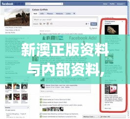 新澳正版资料与内部资料,持续执行策略_Nexus4.148