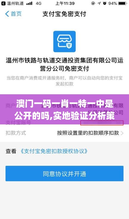 澳门一码一肖一特一中是公开的吗,实地验证分析策略_苹果版7.841