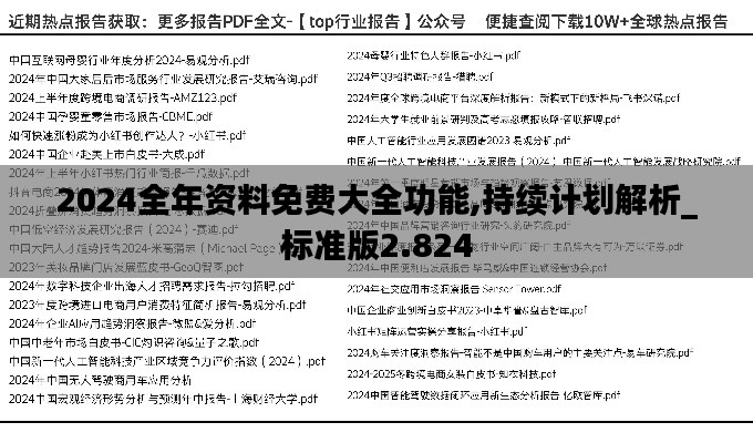 2024全年资料免费大全功能,持续计划解析_标准版2.824