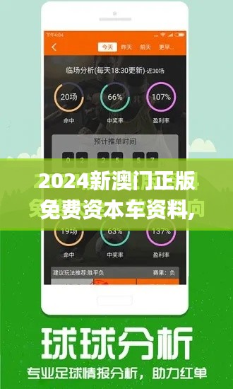 2024新澳门正版免费资本车资料,现象解答解释定义_战斗版10.513