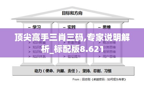顶尖高手三肖三码,专家说明解析_标配版8.621