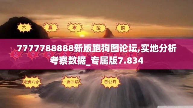 7777788888新版跑狗图论坛,实地分析考察数据_专属版7.834