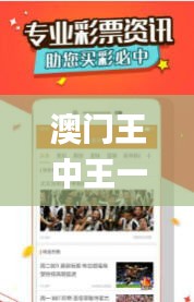 澳门王中王一肖一特一中,快速问题设计方案_开发版15.252