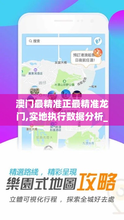 澳门最精准正最精准龙门,实地执行数据分析_WP6.690