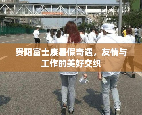 贵阳富士康暑假之旅,友情与工作的美妙交织