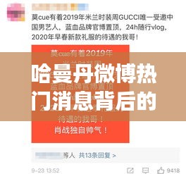 哈曼丹微博热门消息背后的多维度解读与公众舆论探讨