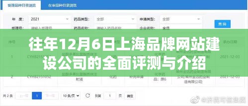 往年12月6日上海品牌网站建设公司深度评测与详解