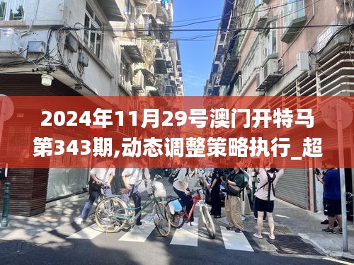 2024年11月29号澳门开特马第343期,动态调整策略执行_超值版110.230